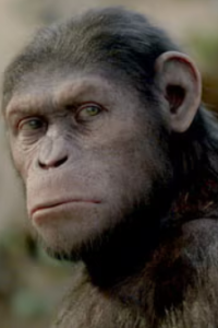 Rise of the Planet of the Apes [Andy Serkis]